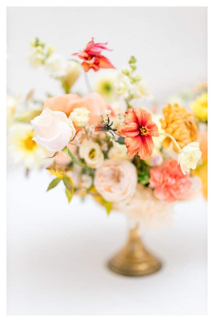 photographe mariage annecy julien bonjour
